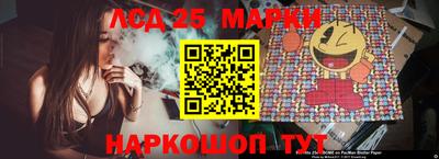 сатива Краснодар