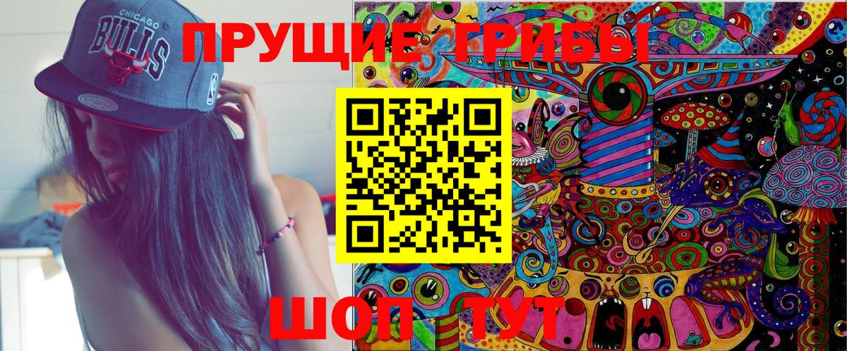 Каменка  Галлюциногенные грибы GOLDEN TEACHER  где найти   Вход с VPN 