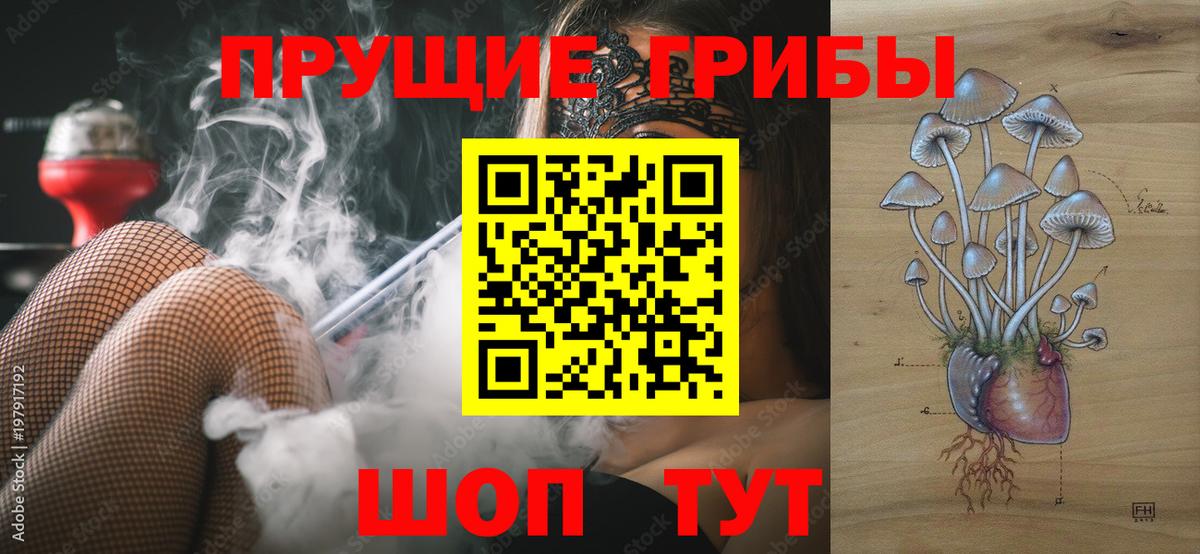Псилоцибиновые грибы мухоморы Каменка