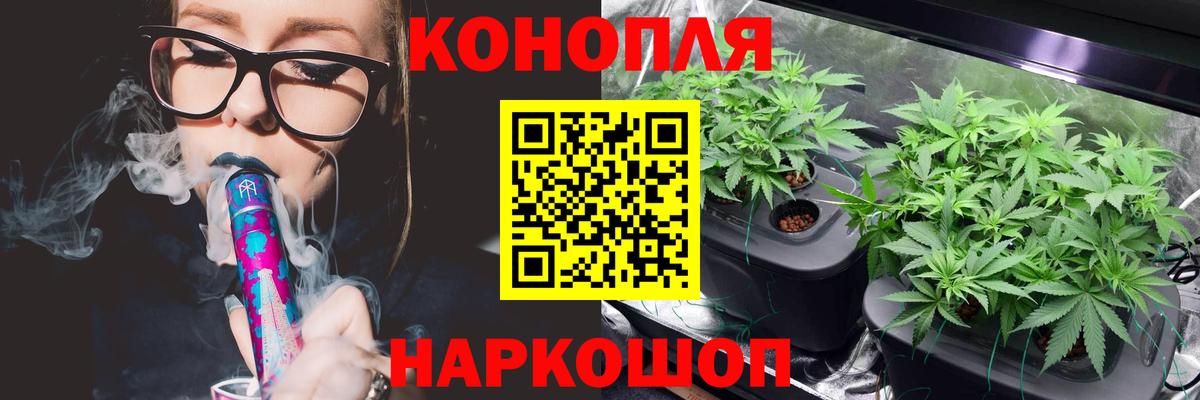 Шишки марихуана MAZAR  Каменка  Каннабис семена 